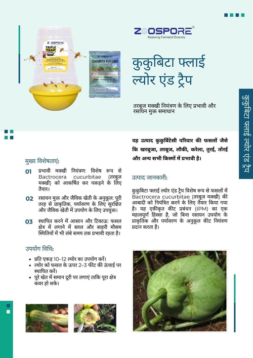 Cucubita Fly Lure with Traps (Zoospore Biological's) - Farmers Stop