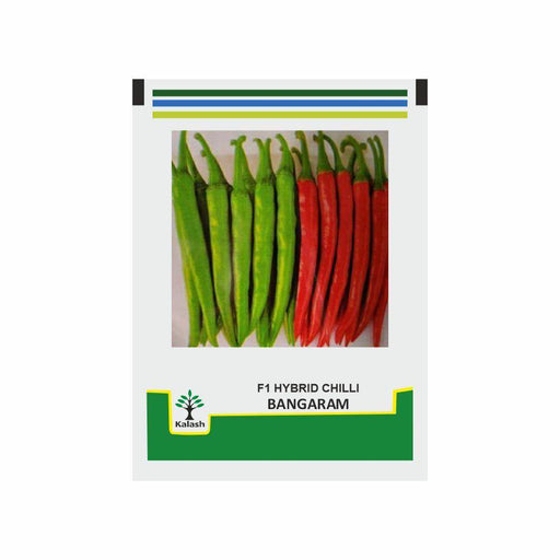 BANGARAM F1 Hybrid Chilli (Kalash Seeds) - Farmers Stop