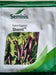 SHAMLI F1 HYBRID BRINJAL (SEMINIS) - Farmers Stop