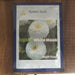White Moon/वाइट मून  Bijeeli Pure White Flower Seeds (Konico Seeds) - Farmers Stop