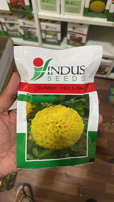 SUNNY YELLOW F1 HYBRID MARIGOLD (INDUS SEEDS) - Farmers Stop
