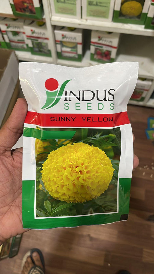 SUNNY YELLOW F1 HYBRID MARIGOLD (INDUS SEEDS) - Farmers Stop