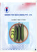 Simar F1 Hybrid Cucumber (Known You Seeds) - Farmers Stop