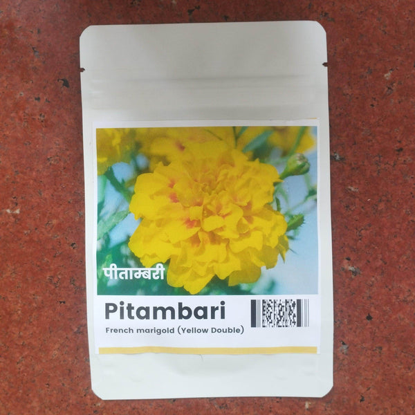 Pitambari/ पीताम्बरी Double French Jafri Marigold (Konico Seeds) - Farmers Stop