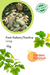 Foot Kachari/Kakri Long Quality Fruit Seeds (Garden Festival) - Farmers Stop