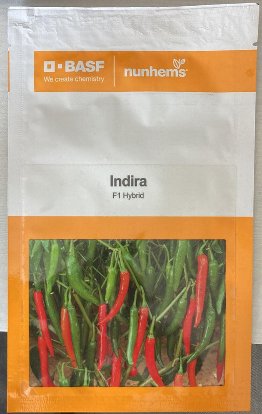 Indira F1 Hybrid Chilli (BASF | Nunhems) - Farmers Stop