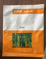 US 6001 F1 Hybrid Ridgegourd (BASF | Nunhems) - Farmers Stop