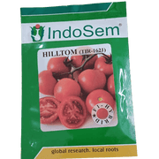 HILLTOM (TIR 1621) F1 Hybrid Tomato (Tropica Seeds) - Farmers Stop