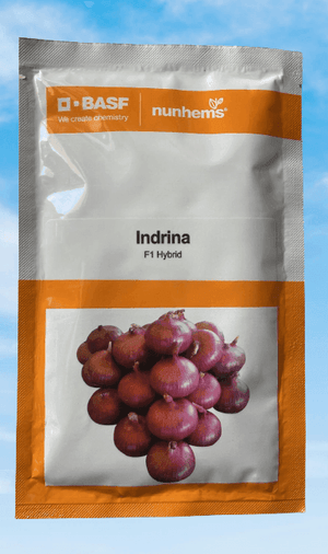 Indrina F1 Hybrid Onion (BASF Nunhems) - Farmers Stop