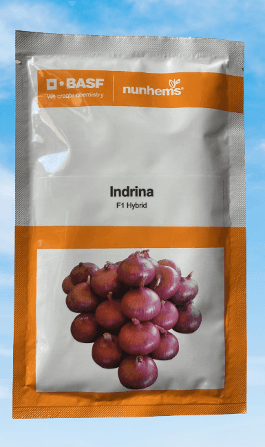 Indrina F1 Hybrid Onion (BASF Nunhems) - Farmers Stop