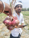 Indrina F1 Hybrid Onion (BASF Nunhems) - Farmers Stop
