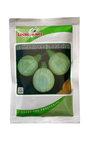 Raja (22) F1 hybrid Summer Squash (Laxmi Inputs) - Farmers Stop