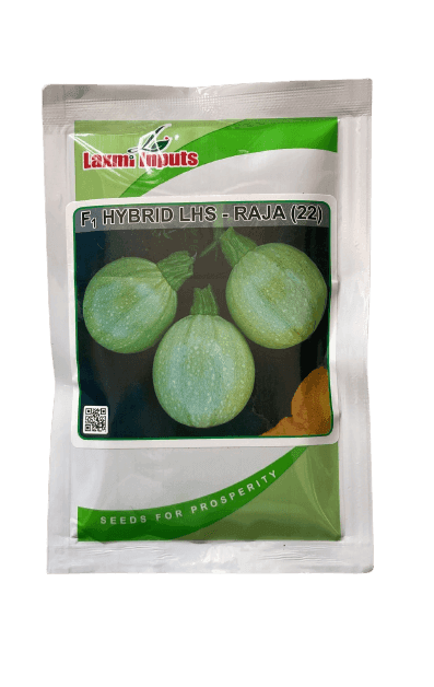 Raja (22) F1 hybrid Summer Squash (Laxmi Inputs) - Farmers Stop
