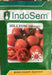 HILLTOM (TIR 1621) F1 Hybrid Tomato (Tropica Seeds) - Farmers Stop