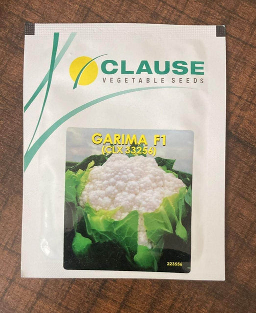 GARIMA (CLX 33256) F1 HYBRID CAULIFLOWER (CLAUSE SEEDS) - Farmers Stop