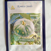 Jamvant Hybrid F1 Pumpkin Seeds (Konico Seeds) - Farmers Stop