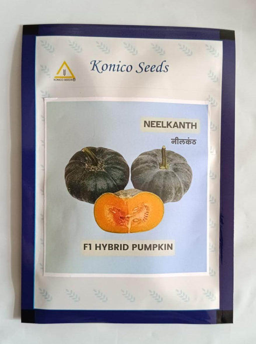Neelkanth Hybrid F1 Dark Jade Pumpkin Seeds (Konico Seeds) - Farmers Stop