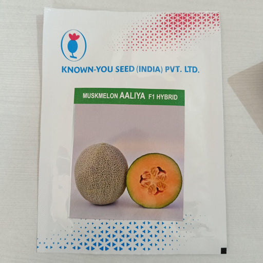 AALIYA F1 Hybrid Muskmelon for Polyhouse (Known You Seeds) - Farmers Stop