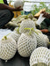 AALIYA F1 Hybrid Muskmelon for Polyhouse (Known You Seeds) - Farmers Stop