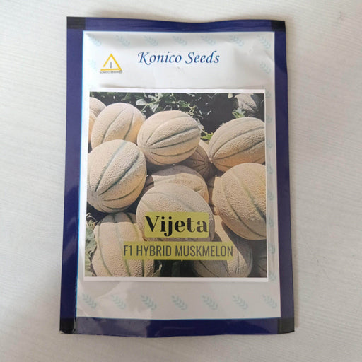 Vijeta Hybrid F1 Muskmelon (Konico Seeds) - Farmers Stop