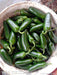 KS-JALAPENO Hybrid F1 Chilli (Konico Seeds) - Farmers Stop
