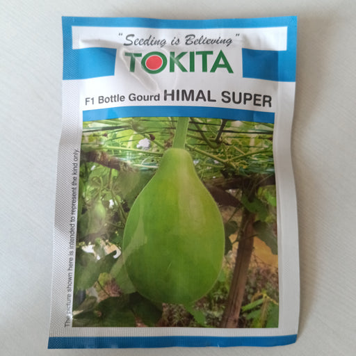 Himal Super F1 Round Bottle Gourd (Tokita Seeds) - Farmers Stop