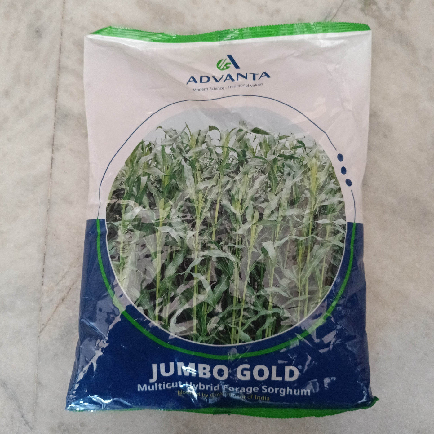 Jumbo Gold - Multicut Hybrid Forage Sorghum (Advanta) - Farmers Stop