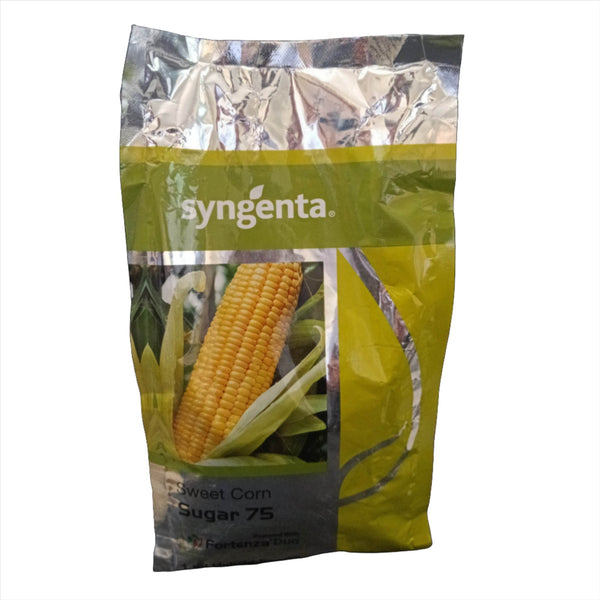 Sugar 75 Hybrid F1 Sweet Corn (Syngenta) - Farmers Stop