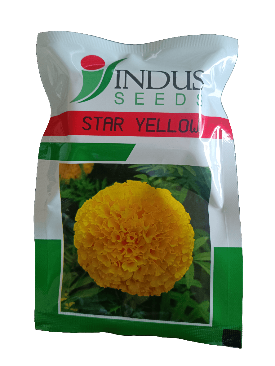 Star Yellow F1 Hybrid Marigold (Indus Seeds) - Farmers Stop