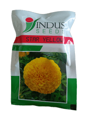 Star Yellow F1 Hybrid Marigold (Indus Seeds) - Farmers Stop