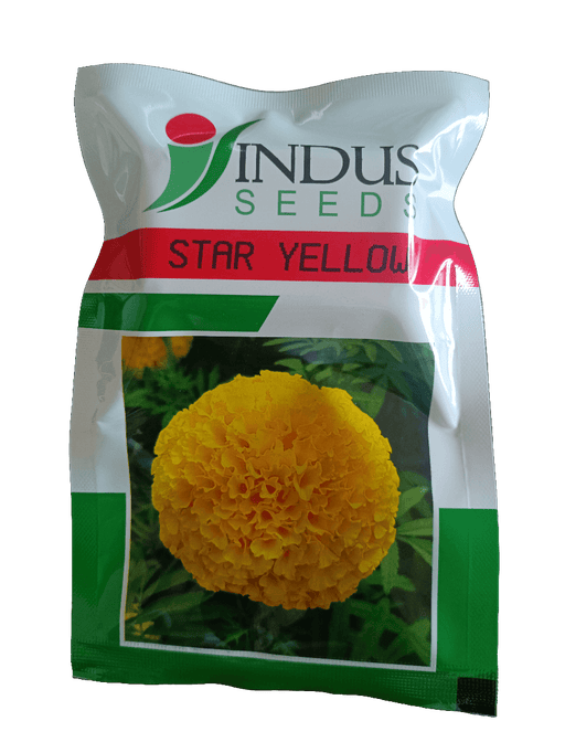 Star Yellow F1 Hybrid Marigold (Indus Seeds) - Farmers Stop