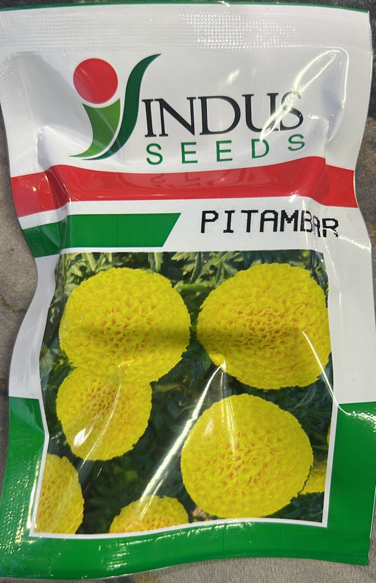indus seeds marigold Pitamber Hybrid F1 Yellow Marigold Seeds