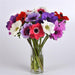 Anemone Mona Lisa® Mixture (PanAmerican) - Farmers Stop