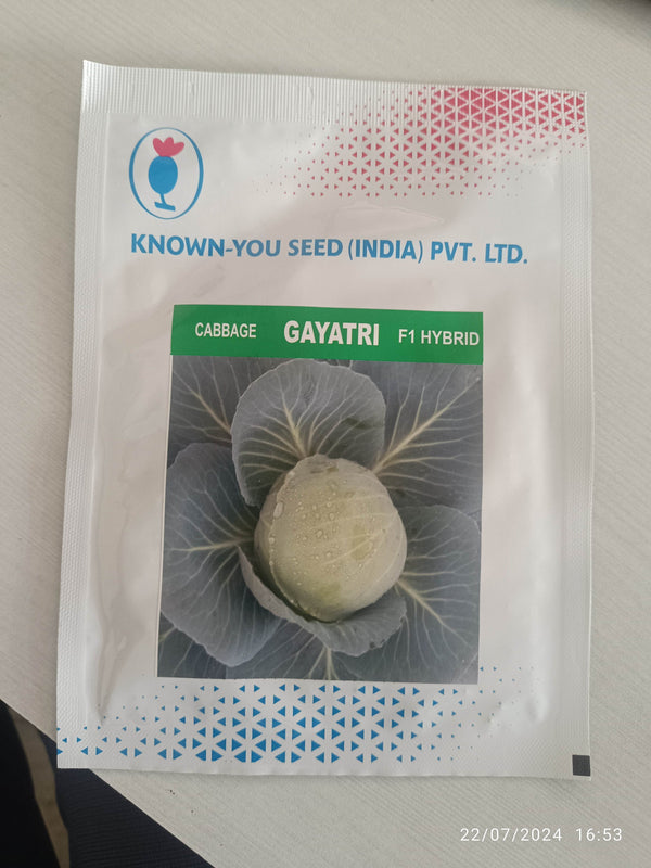 Gayatri F1 Hybrid Cabbage (Known You Seeds) - Farmers Stop