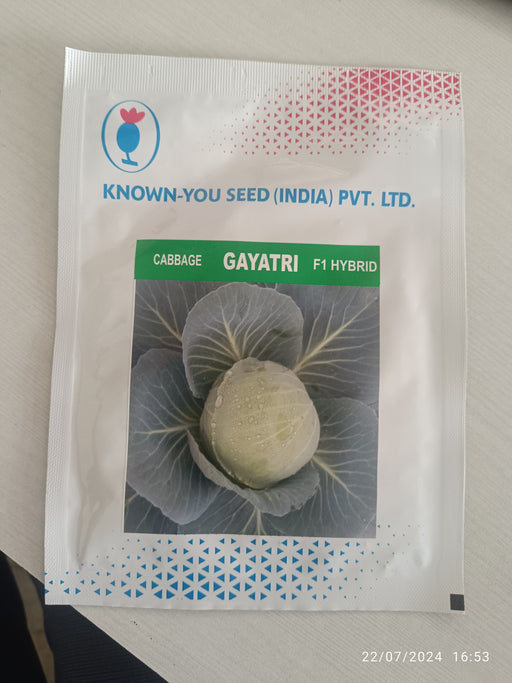 Gayatri F1 Hybrid Cabbage (Known You Seeds) - Farmers Stop
