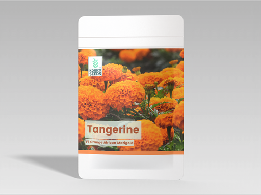 Tangerine F1 Hybrid Orange Marigold (Konico Seed's) - Farmers Stop