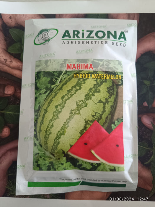 Mahima F1 Hybrid Watermelon (Arizona AgriGenetics Seed) - Farmers Stop