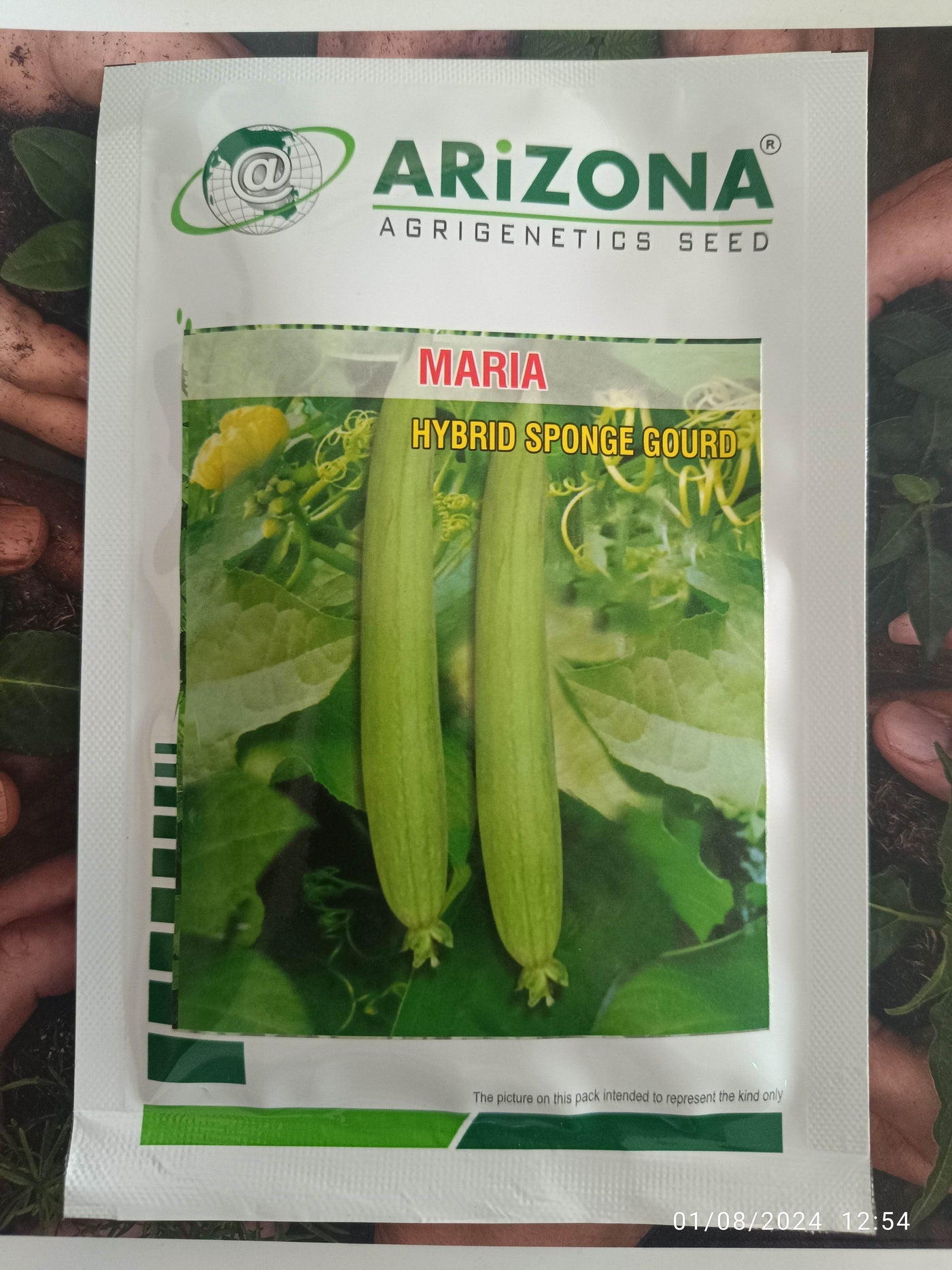 Maria F1 Hybrid White Seeded Sponge Gourd (Arizona AgriGenetics Seed) - Farmers Stop