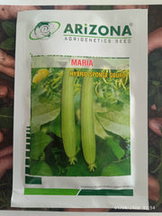 Maria F1 Hybrid White Seeded Sponge Gourd (Arizona AgriGenetics Seed) - Farmers Stop