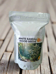 White Indian Sandalwood Seeds - Farmers Stop