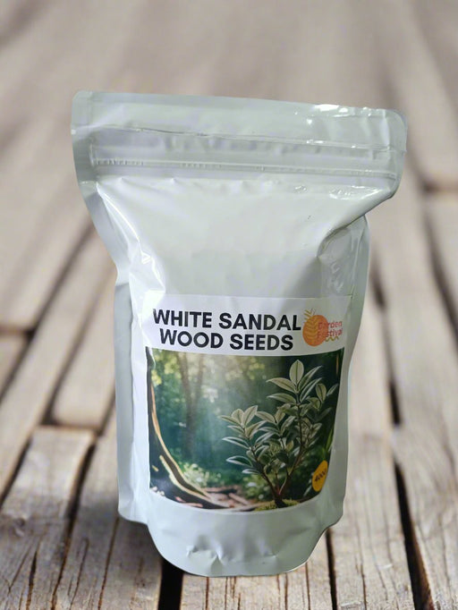 White Indian Sandalwood Seeds - Farmers Stop