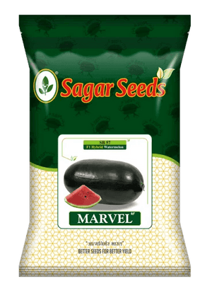 Marvel / मार्वल F1 Hybrid Watermelon (Sagar Seeds) - Farmers Stop