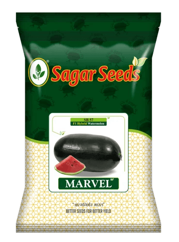 Marvel / मार्वल F1 Hybrid Watermelon (Sagar Seeds) - Farmers Stop