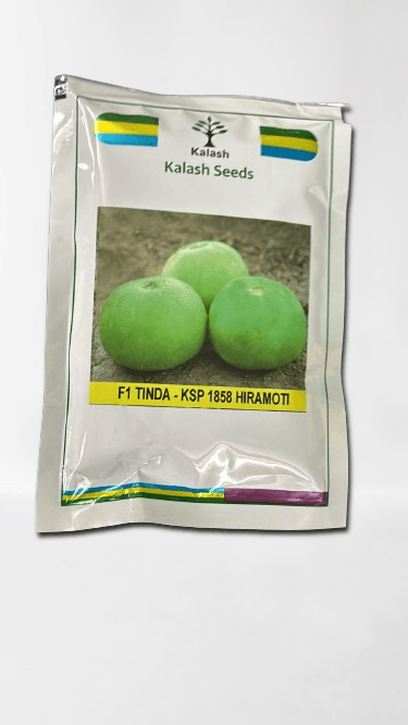 KSP 1858 Hiramoti F1 Hybrid Tinda (Kalash Seeds) - Farmers Stop