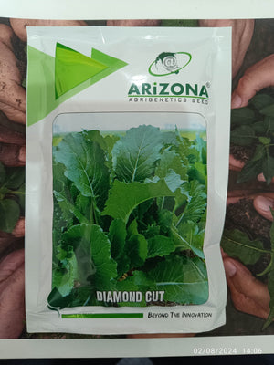 Diamond Cut Sarso Mustard for Saag (Arizona AgriGenetics Seed) - Farmers Stop