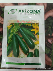 Dollar Plus F1 Hybrid Zuchini Squash (Arizona AgriGenetics Seed) - Farmers Stop