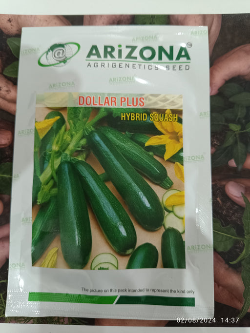 Dollar Plus F1 Hybrid Zuchini Squash (Arizona AgriGenetics Seed) - Farmers Stop