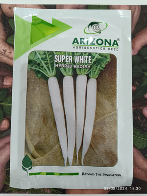 Super White F1 Hybrid Radish (Arizona AgriGenetics Seed) - Farmers Stop