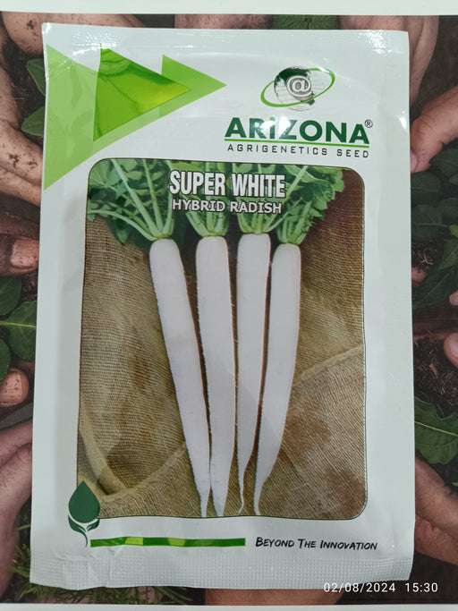 Super White F1 Hybrid Radish (Arizona AgriGenetics Seed) - Farmers Stop