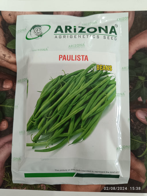 Paulista French Beans (Arizona AgriGenetics Seed) - Farmers Stop